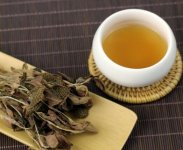 金線蓮泡茶一次放幾根？