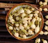 鮮茉莉花怎么炮制成茶？
