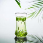 正宗的竹葉青產(chǎn)自哪里？