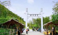 5月12日：徒步貢茶古道，天然氧吧，綠色之旅